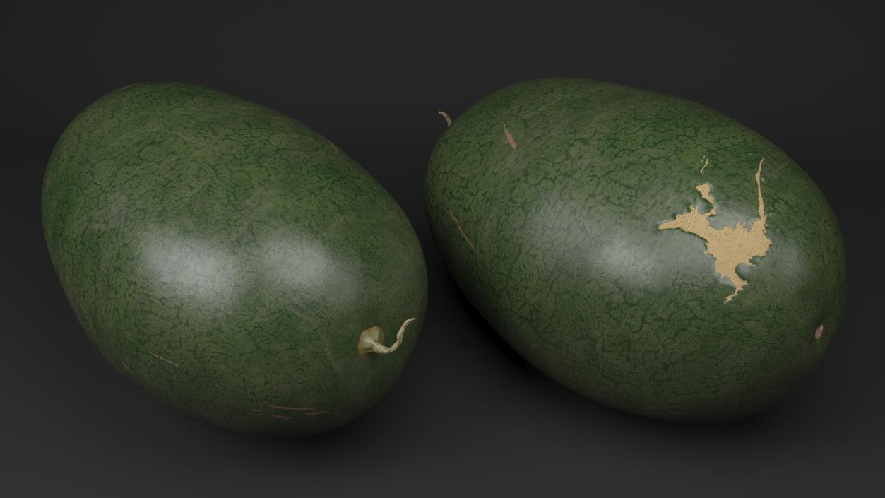 Watermelons Collection 3D