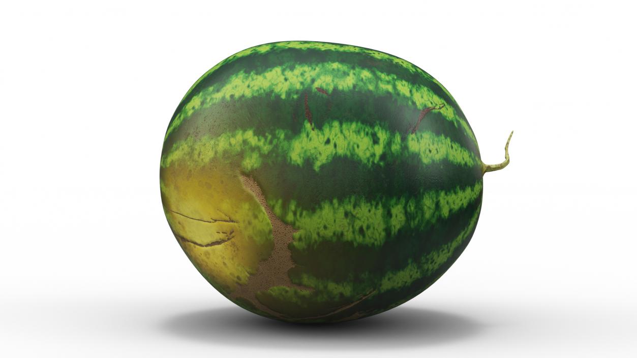 Watermelons Collection 3D