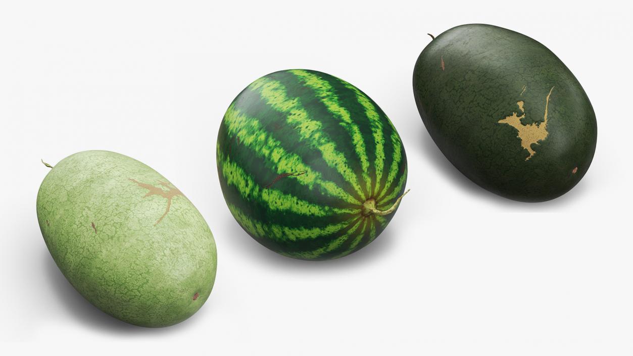 Watermelons Collection 3D