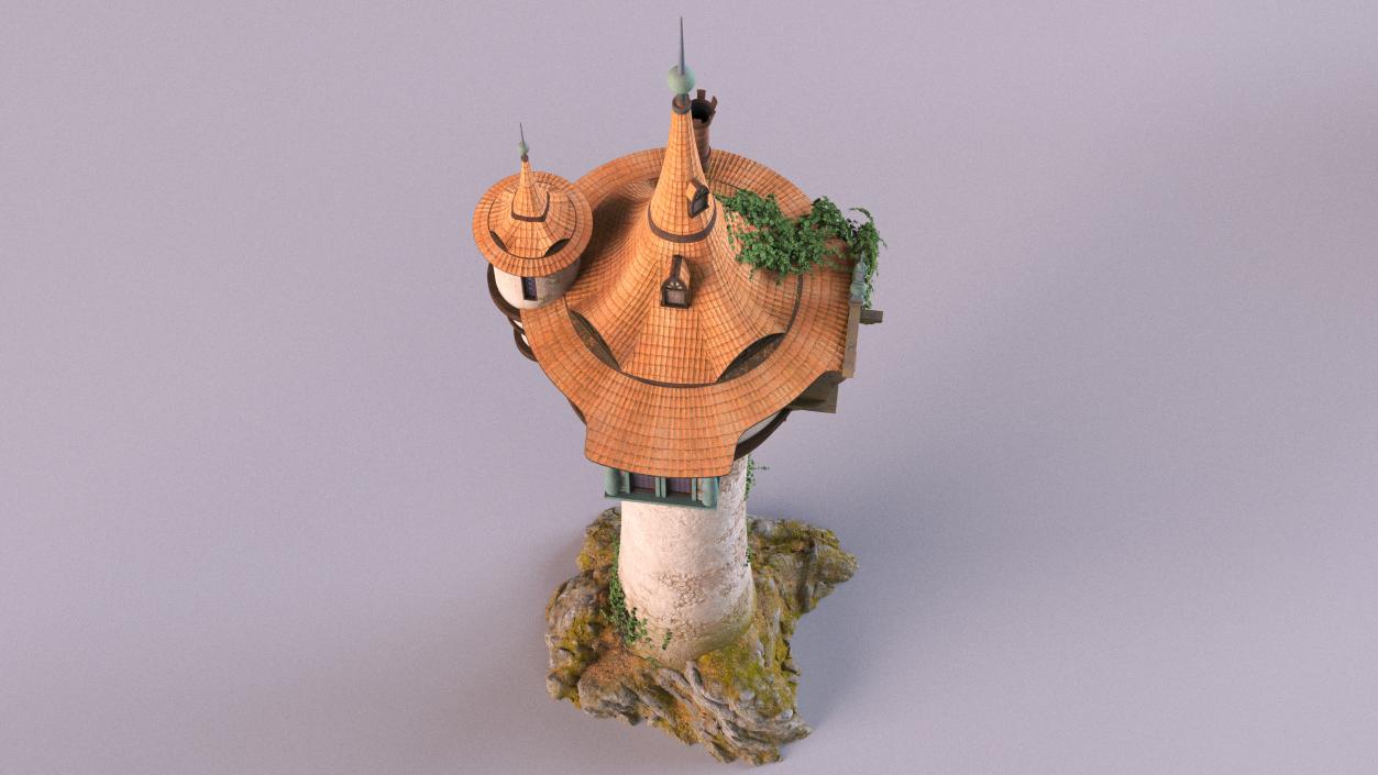 3D Rapunzel Castle Tower