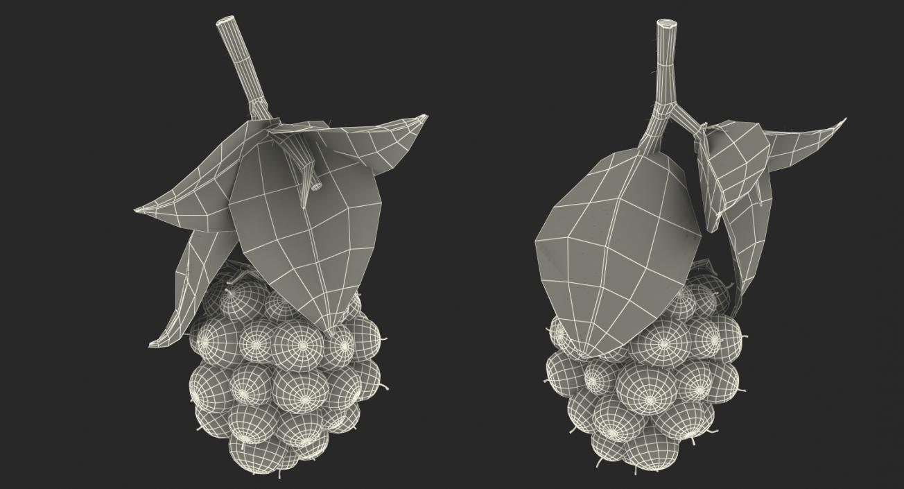 3D Blackberry with Leaves Fur