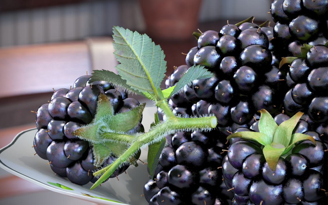 3D Blackberry with Leaves Fur