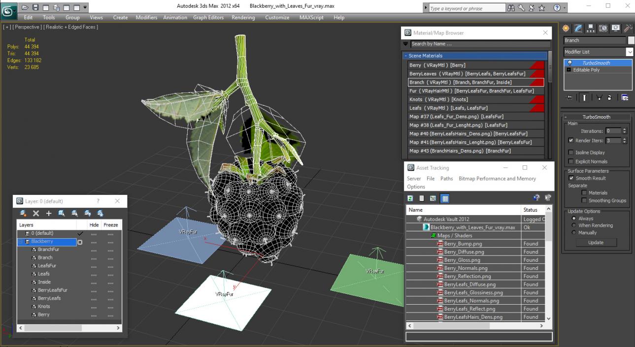 3D Blackberry with Leaves Fur