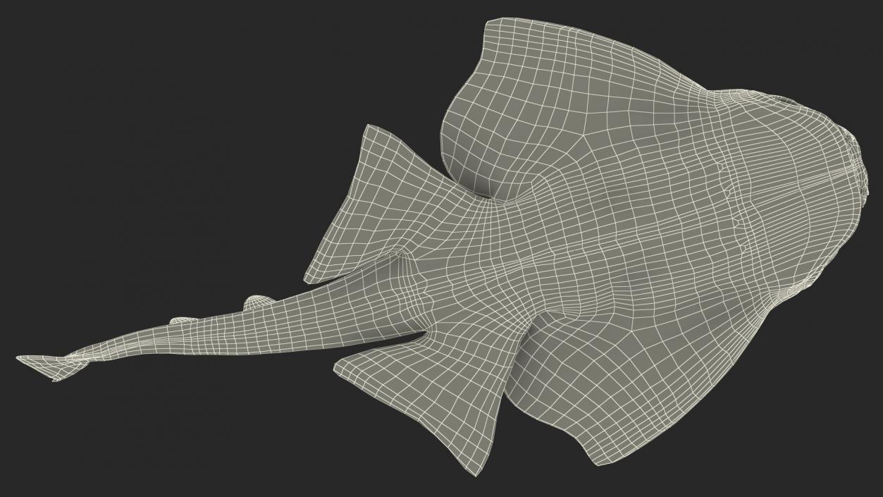 3D model Angel Shark Swimming Pose