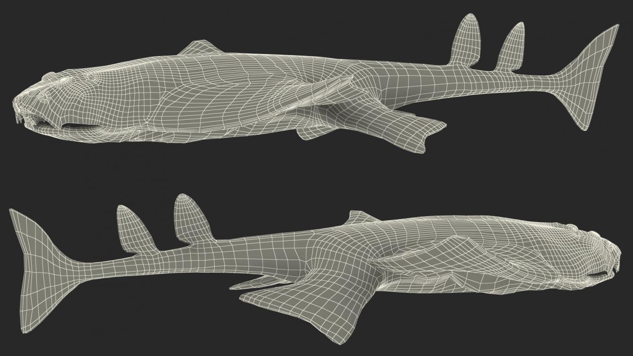 3D model Angel Shark Swimming Pose