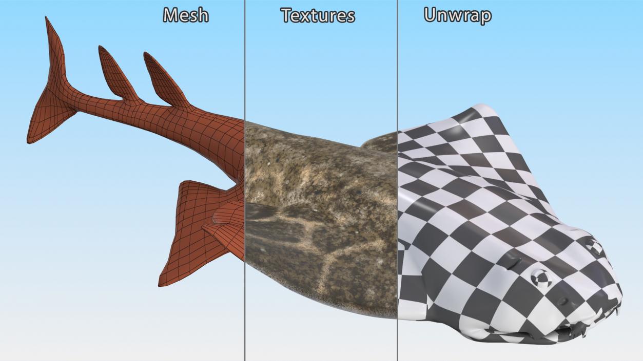 3D model Angel Shark Swimming Pose