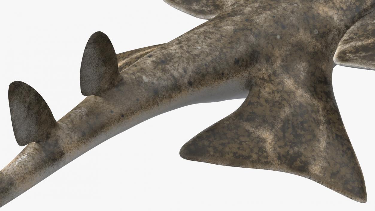 3D model Angel Shark Swimming Pose