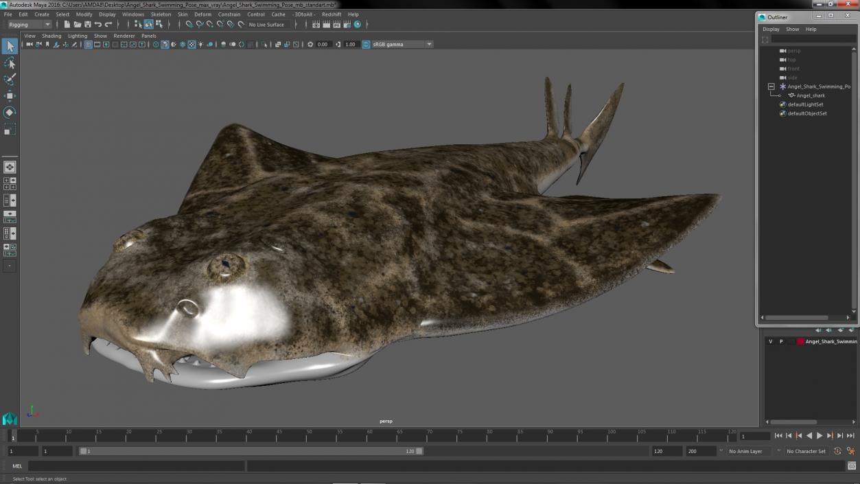 3D model Angel Shark Swimming Pose