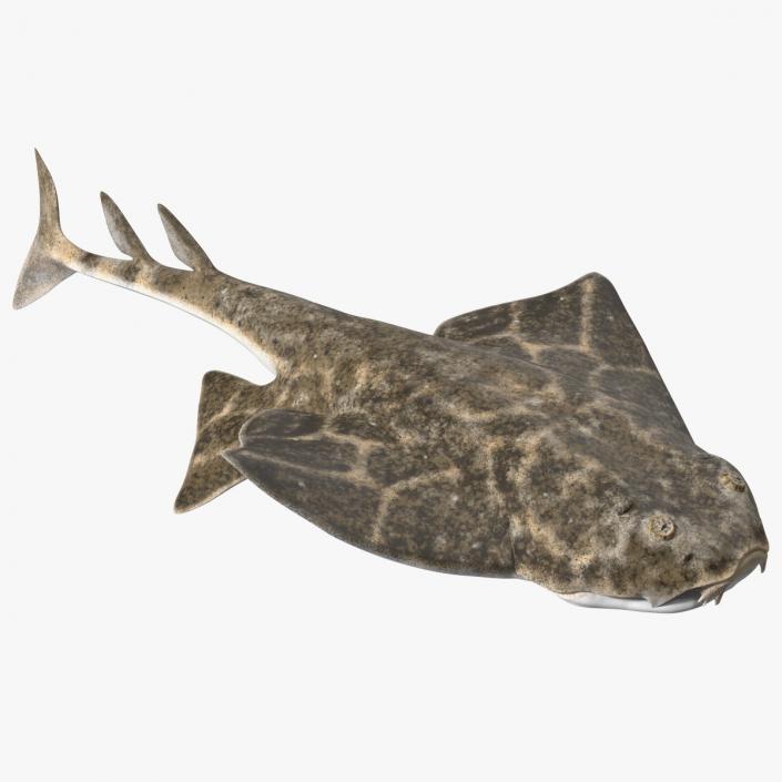 3D model Angel Shark Swimming Pose