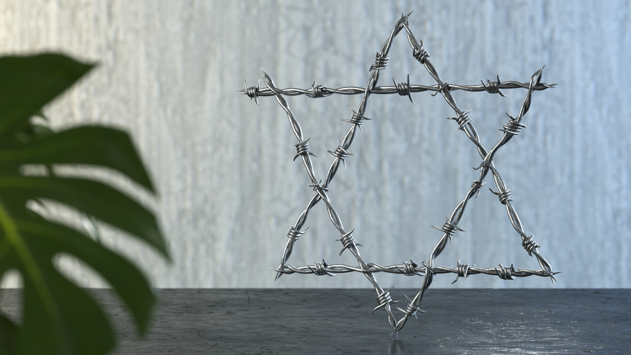 3D model Star of David made from Barbed Wire