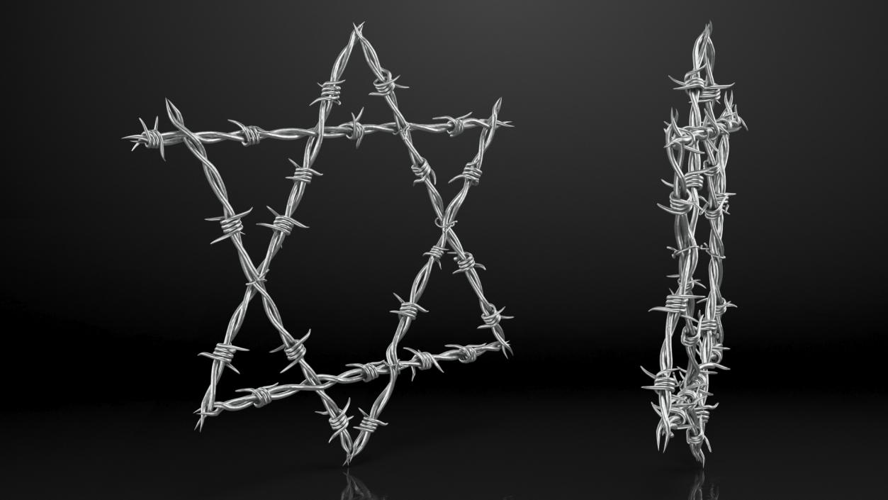 3D model Star of David made from Barbed Wire