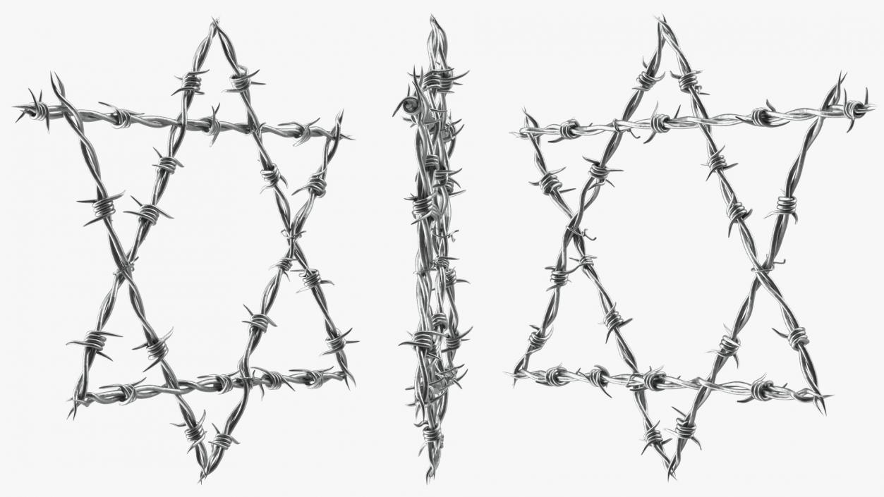 3D model Star of David made from Barbed Wire