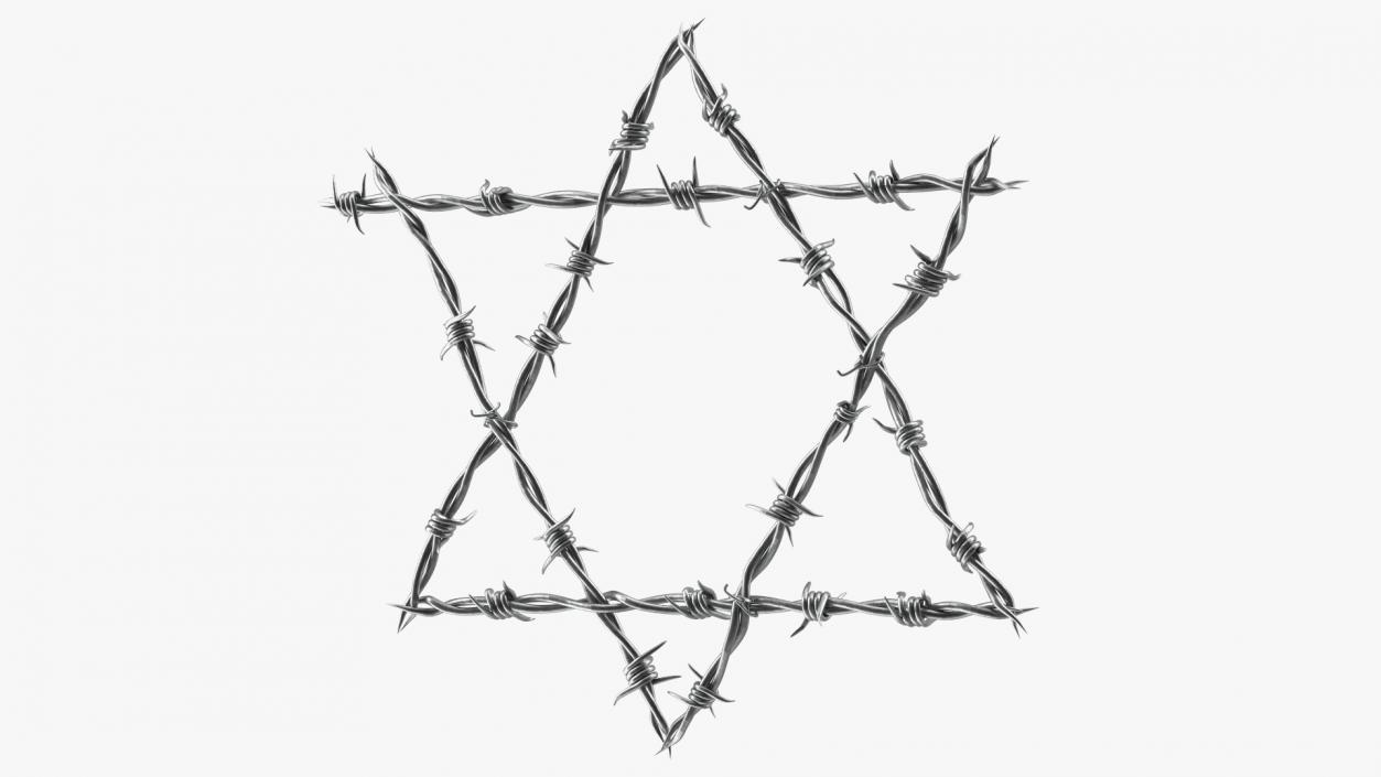 3D model Star of David made from Barbed Wire