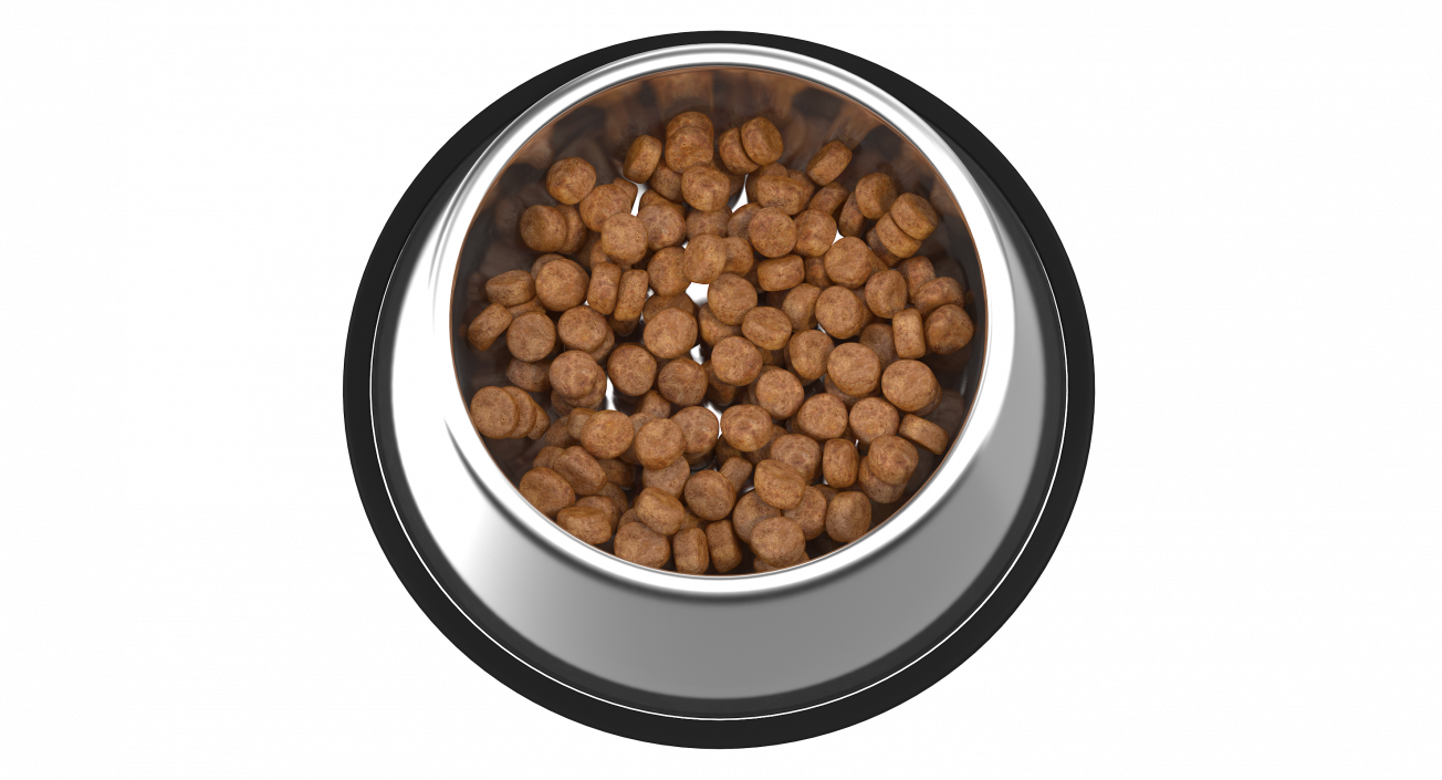 Dog Bowl Stainless Steel Food Container 3D model