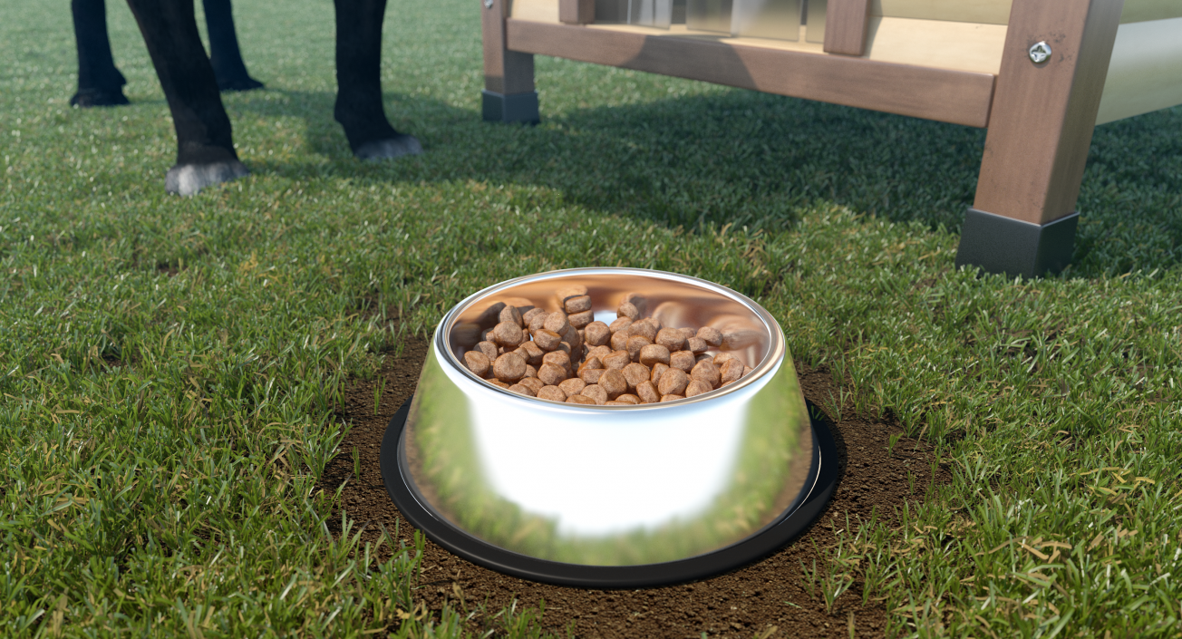 Dog Bowl Stainless Steel Food Container 3D model