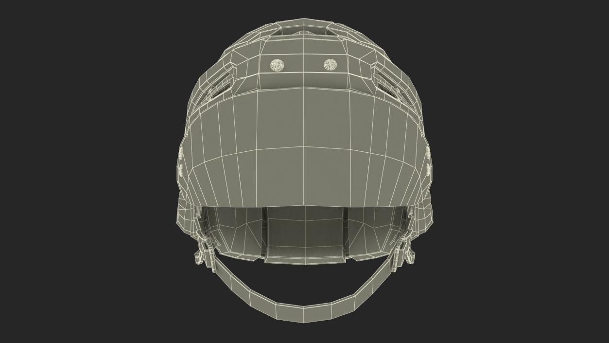 3D model Hockey Helmet Florida Panthers