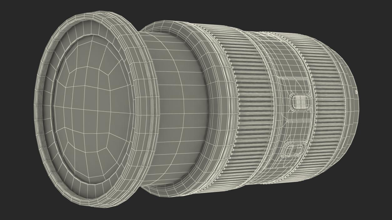 Canon EF Zoom Lens 24 70 3D model