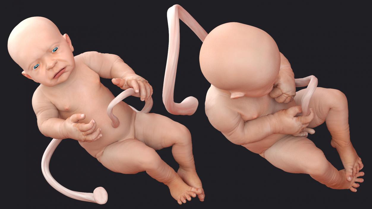 Baby Boy at 38 Weeks Rigged 3D