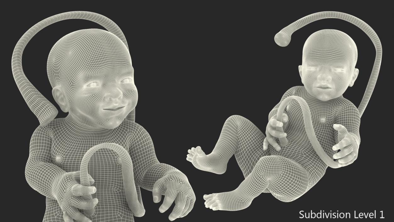 Baby Boy at 38 Weeks Rigged 3D