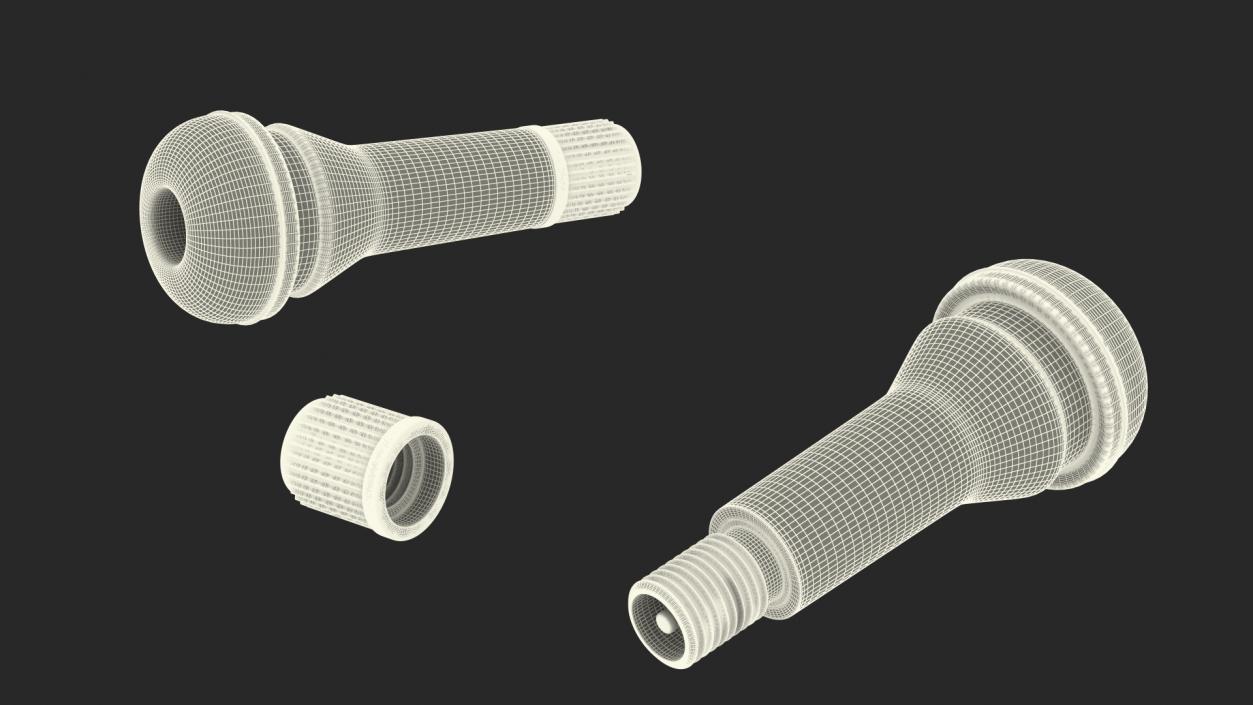 3D model Tire Valve