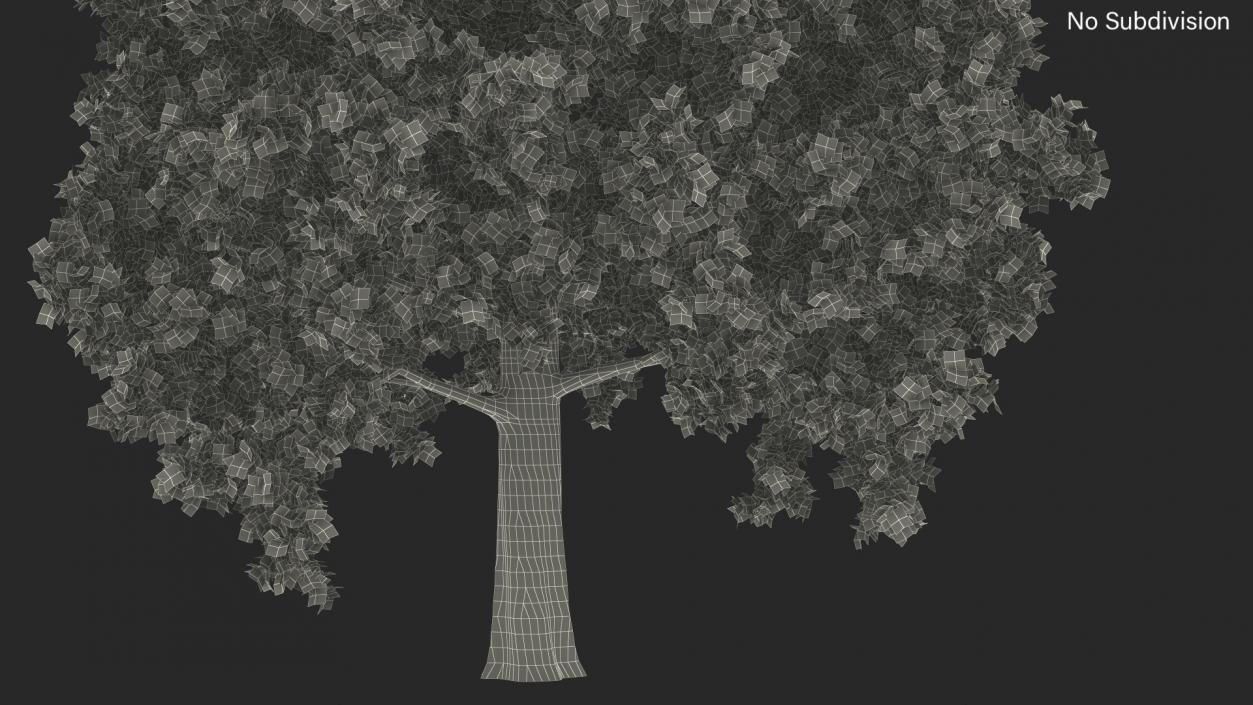 3D Realistic Oak Tree model