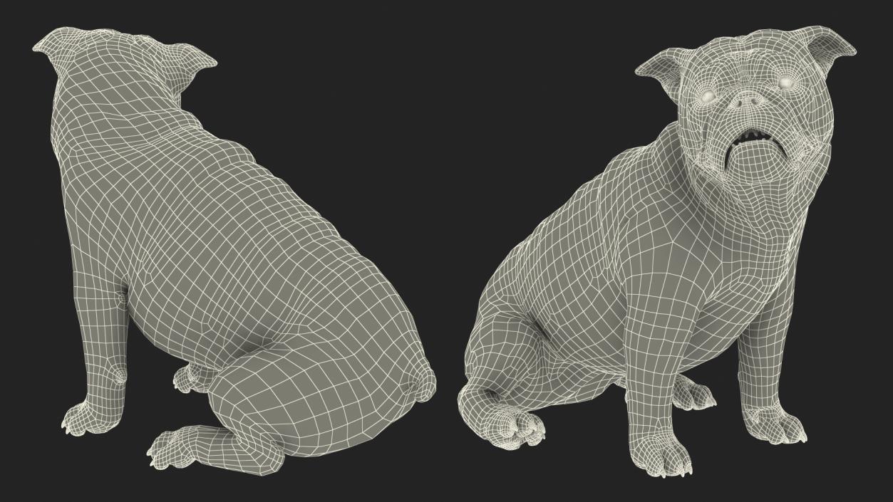 3D Bulldog Sitting Up model