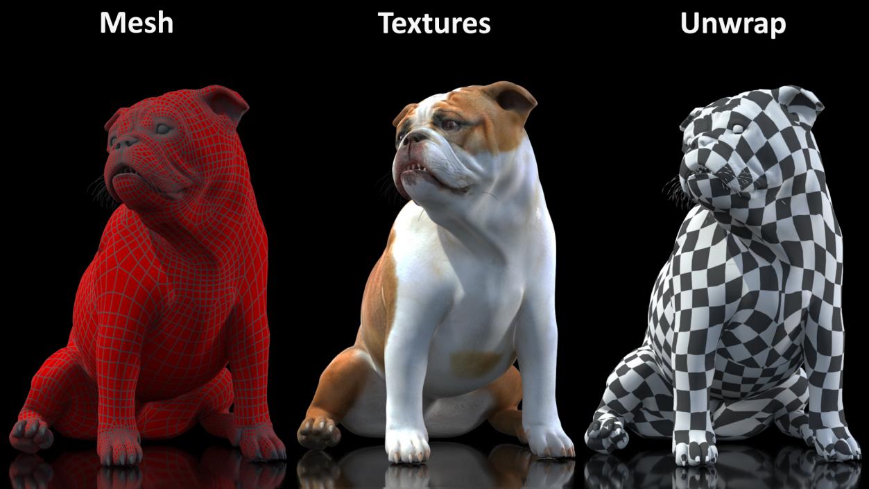 3D Bulldog Sitting Up model