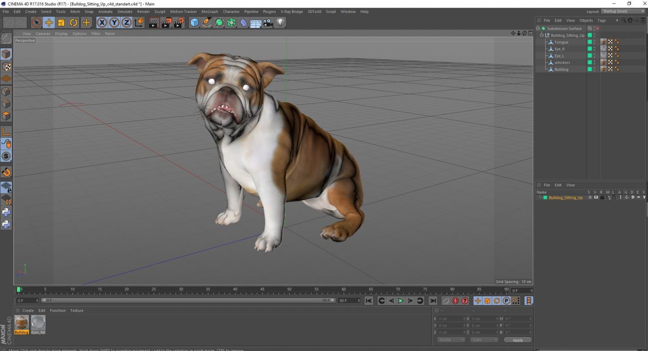 3D Bulldog Sitting Up model