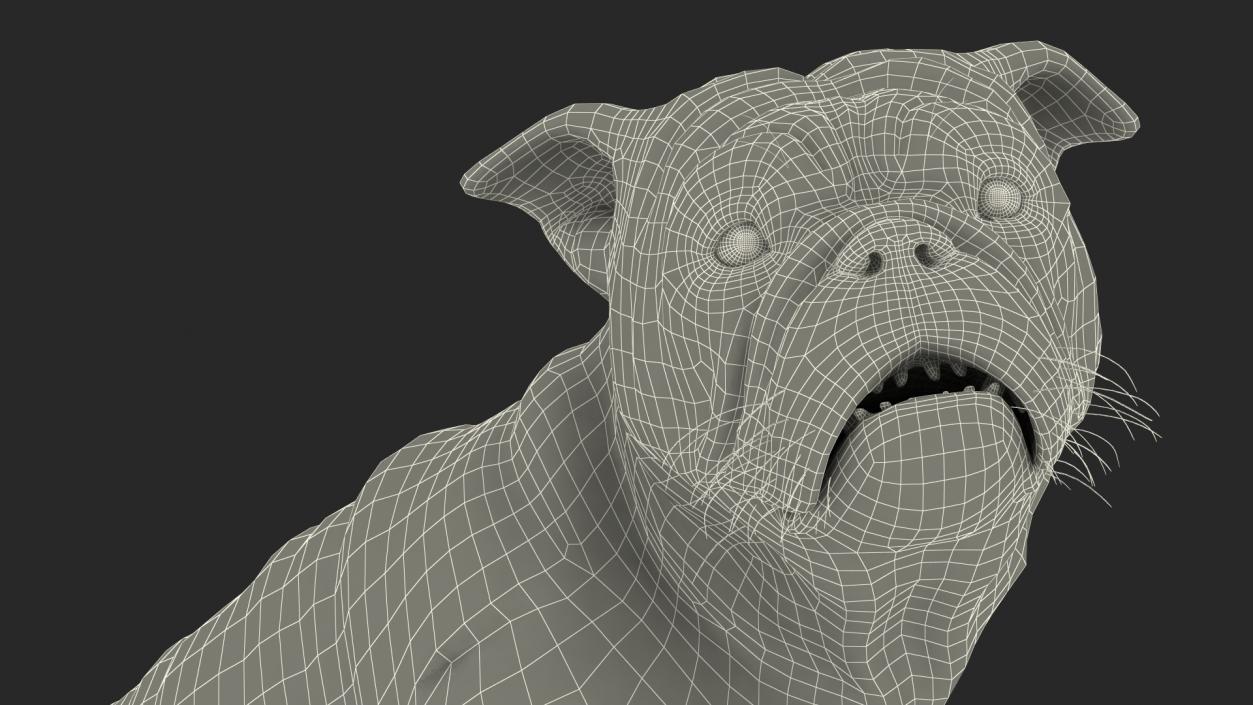 3D Bulldog Sitting Up model