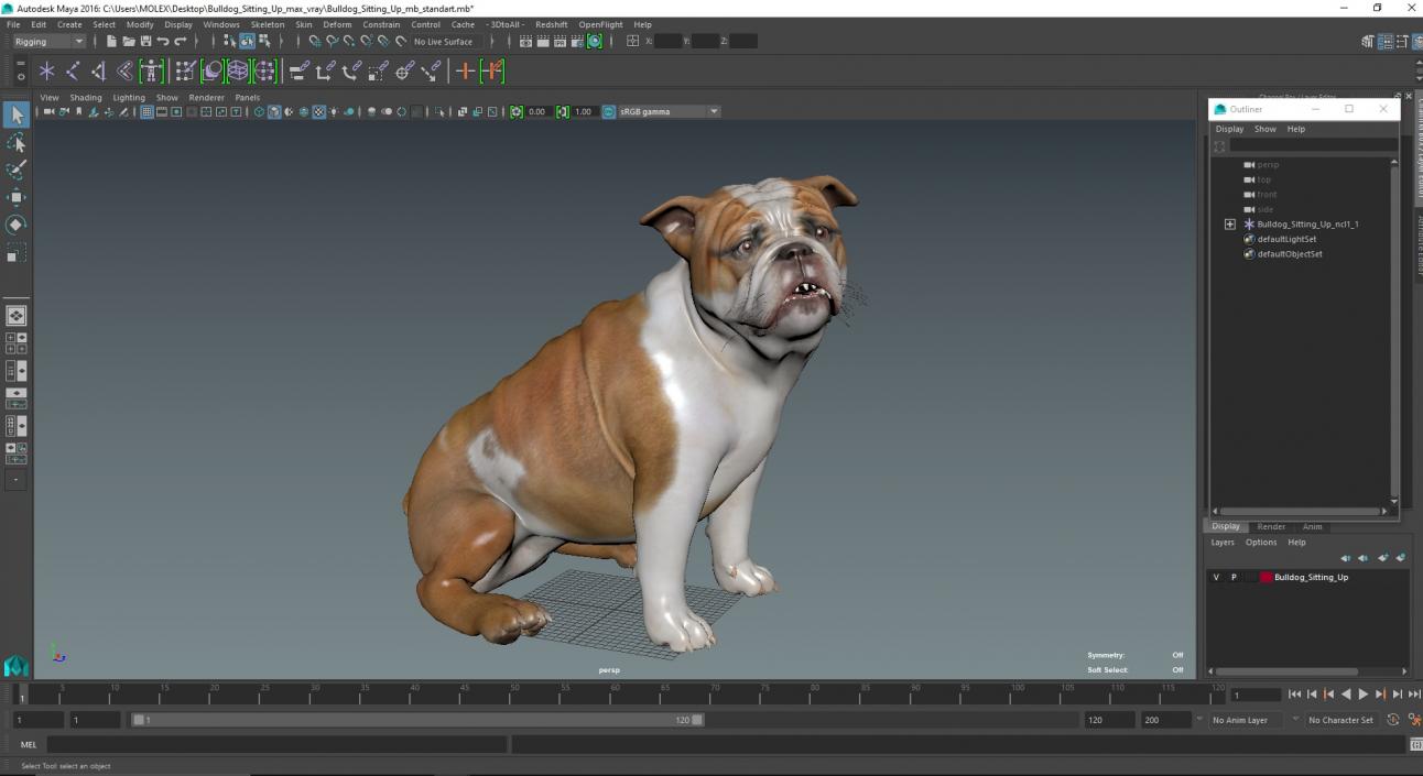 3D Bulldog Sitting Up model