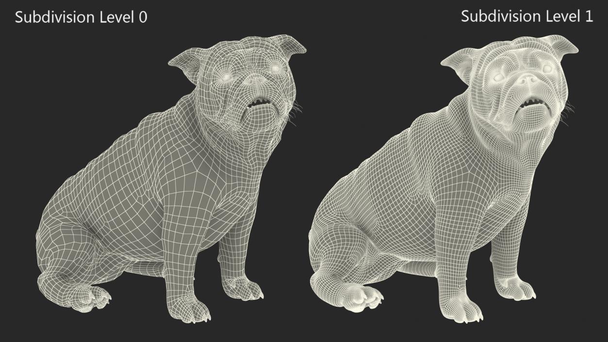 3D Bulldog Sitting Up model