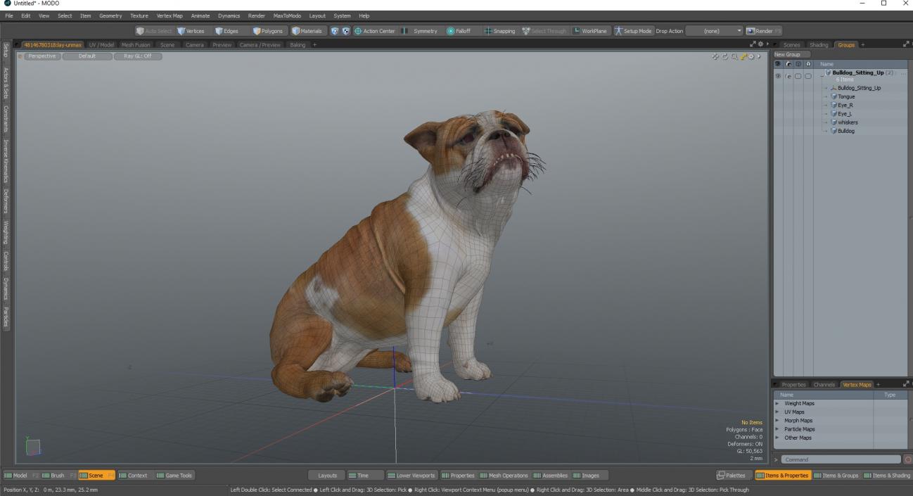 3D Bulldog Sitting Up model