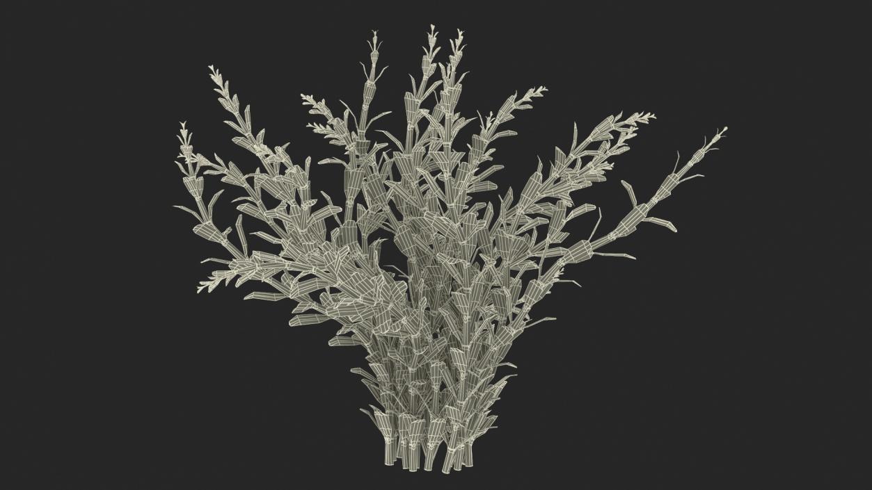 3D model Artificial Rotala Aquatic Plant Red