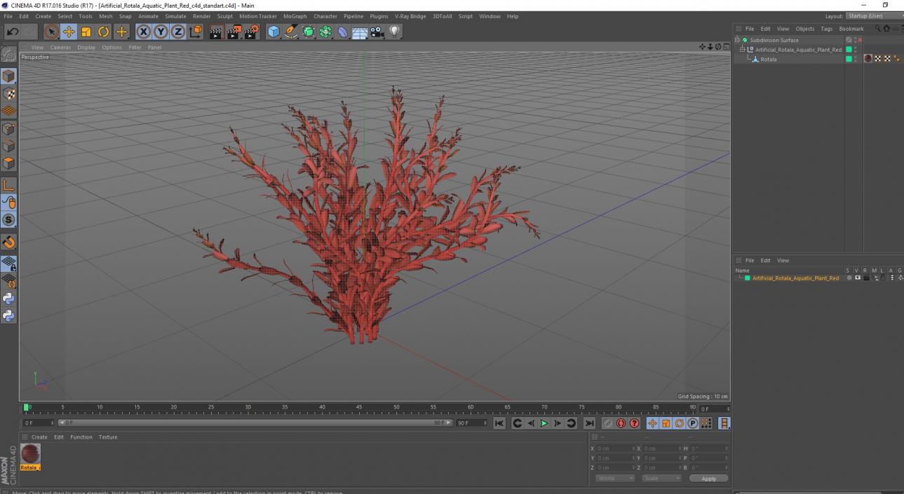 3D model Artificial Rotala Aquatic Plant Red