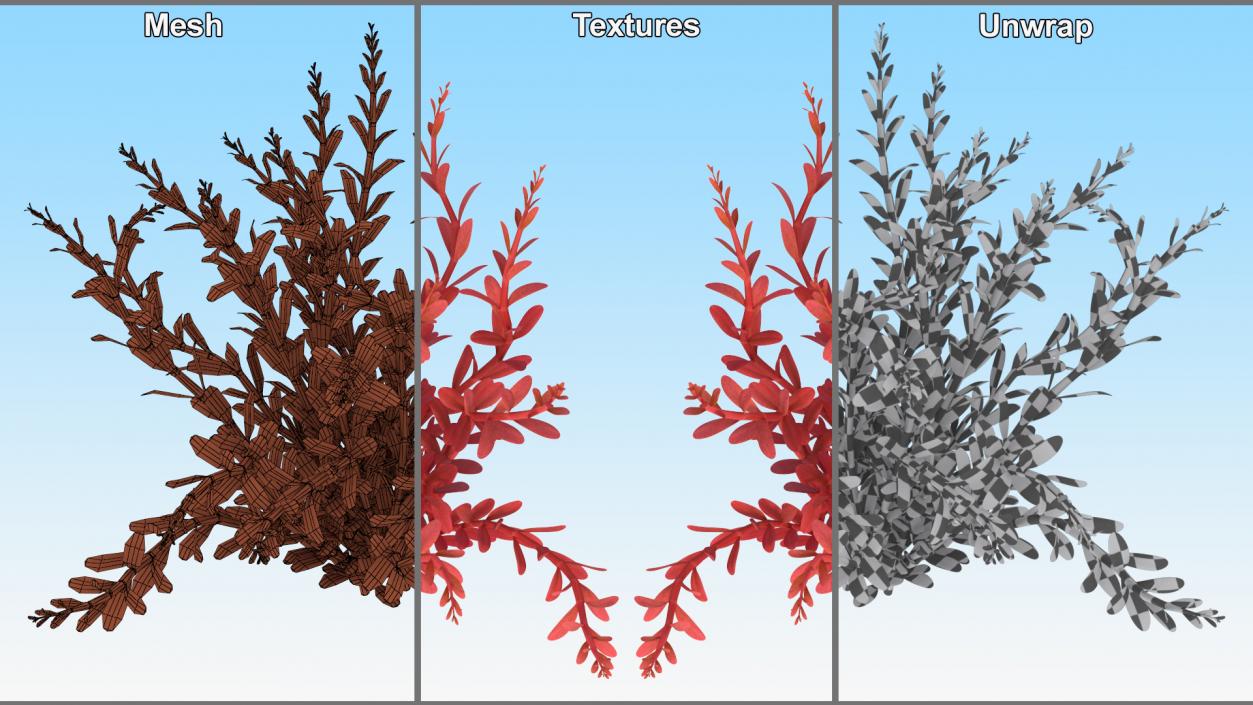 3D model Artificial Rotala Aquatic Plant Red