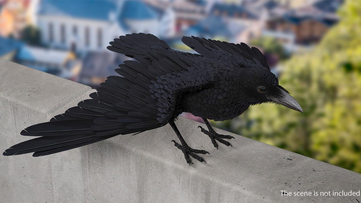 Raven Landing Animated Rigged 3D model