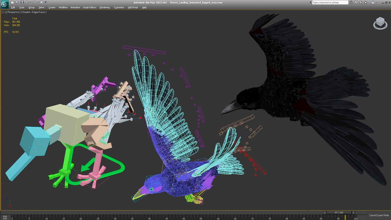 Raven Landing Animated Rigged 3D model