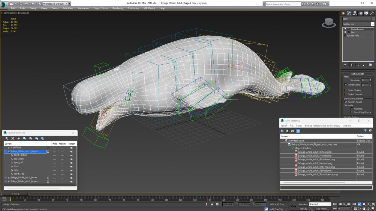 Beluga Whale Adult Rigged for Maya 3D model