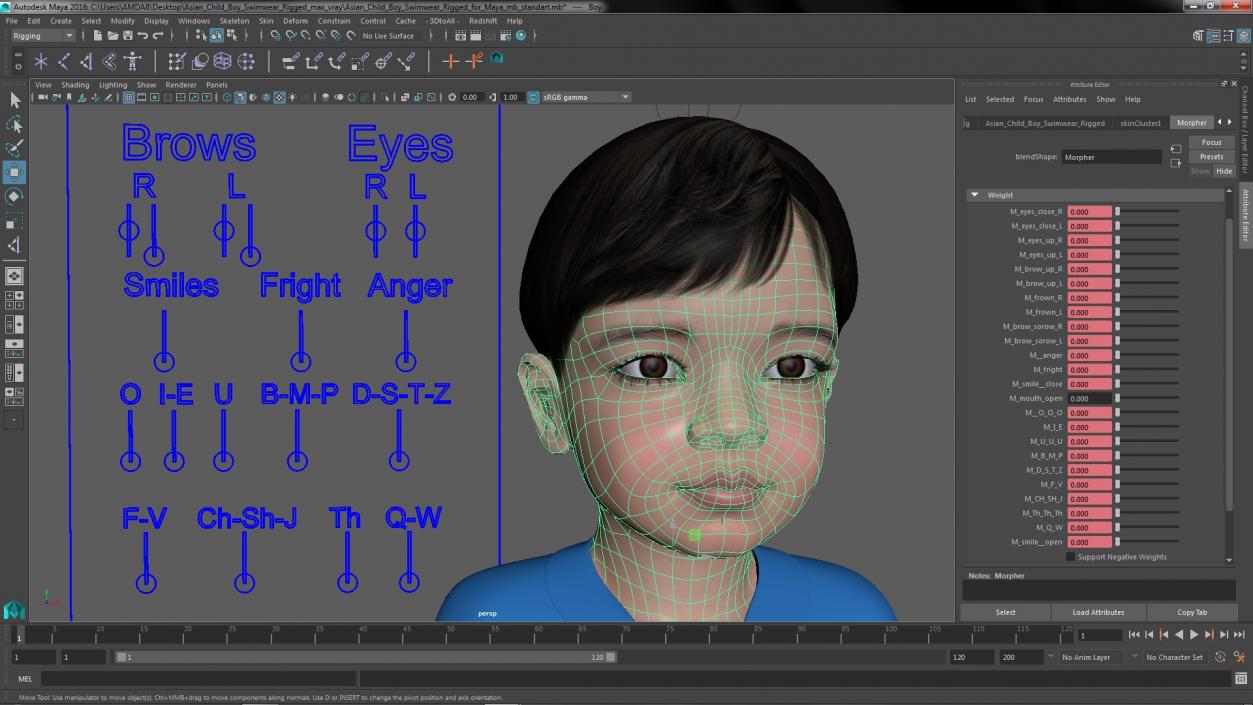 3D model Asian Child Boy Swimwear Rigged for Maya