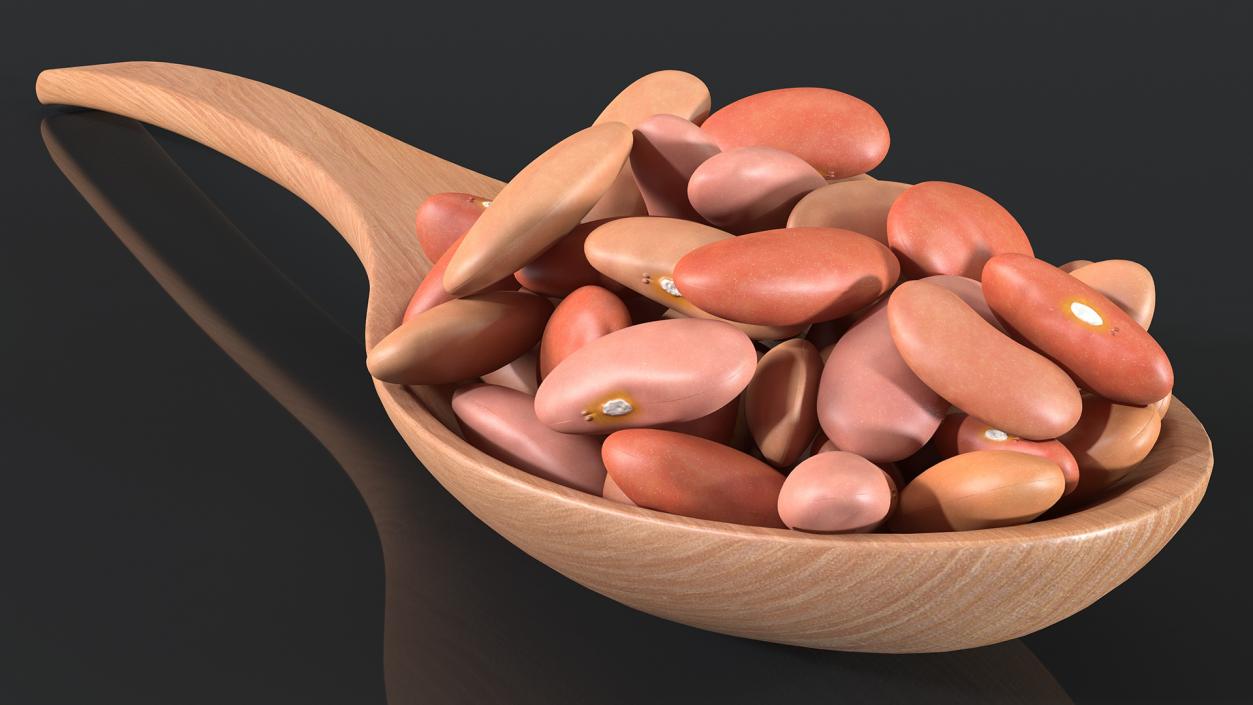 3D Light Red Kidney Beans in a Spoon model