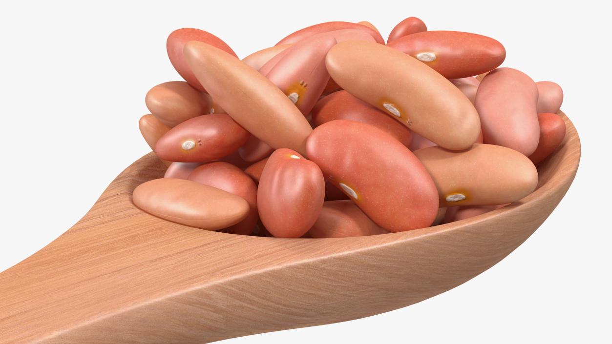 3D Light Red Kidney Beans in a Spoon model