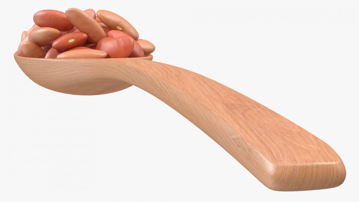 3D Light Red Kidney Beans in a Spoon model