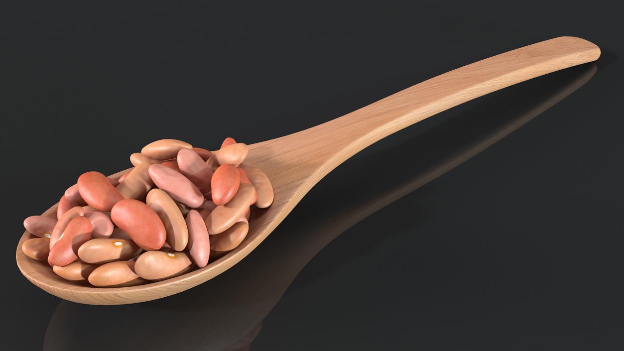 3D Light Red Kidney Beans in a Spoon model