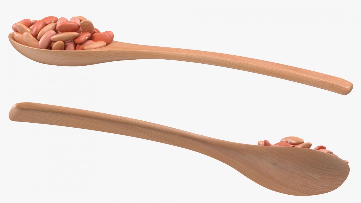 3D Light Red Kidney Beans in a Spoon model