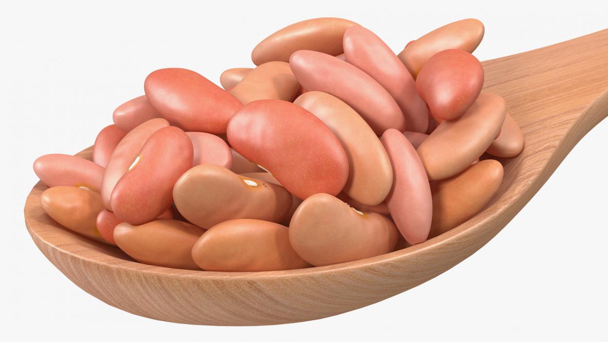 3D Light Red Kidney Beans in a Spoon model