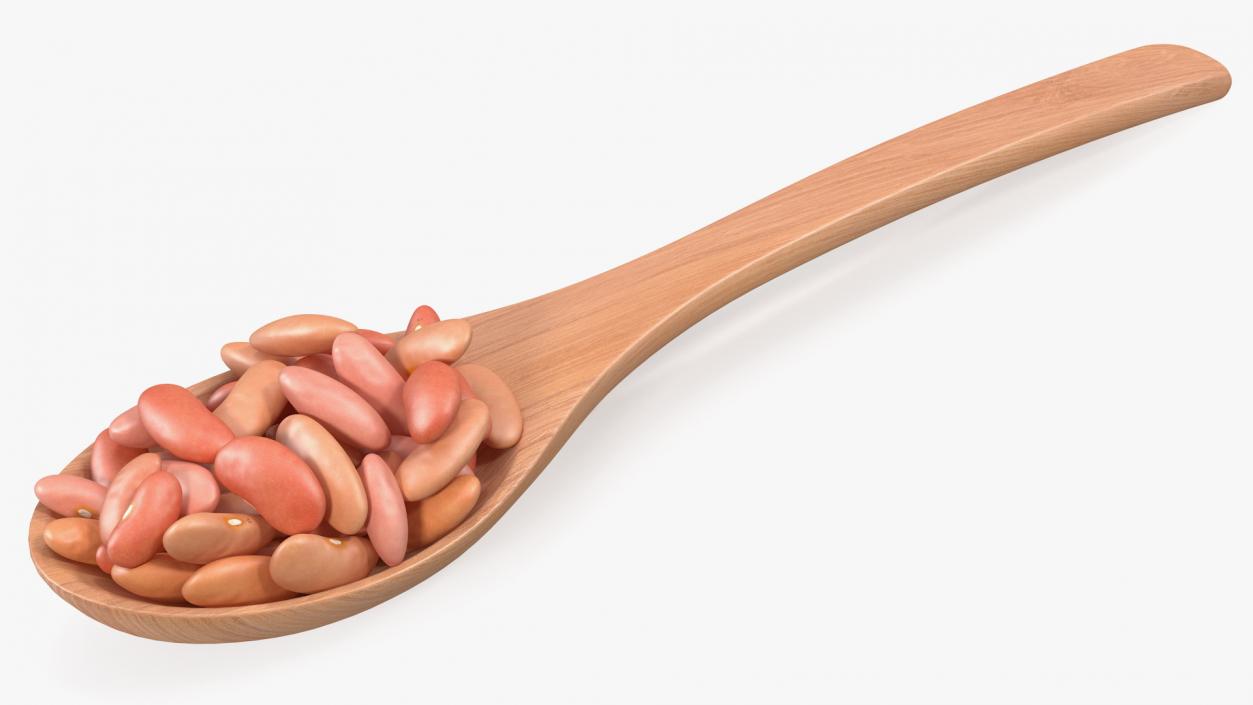 3D Light Red Kidney Beans in a Spoon model