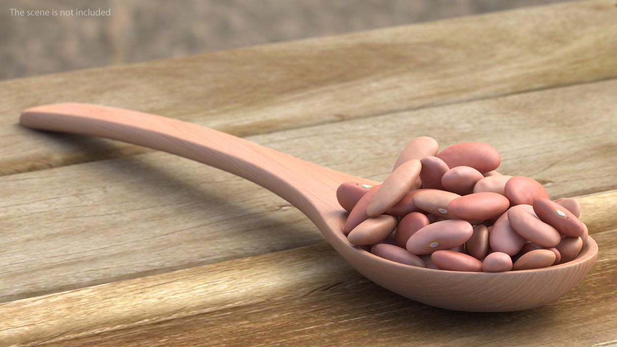 3D Light Red Kidney Beans in a Spoon model