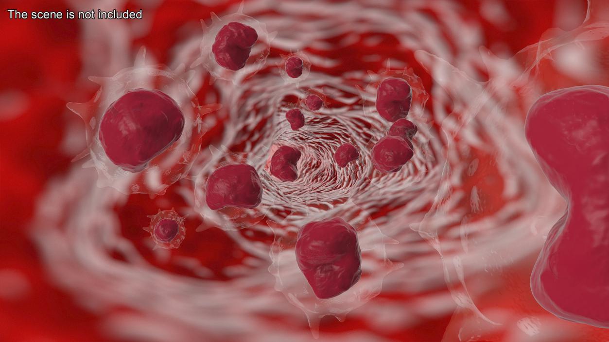 Monocyte Blood Cell 3D model