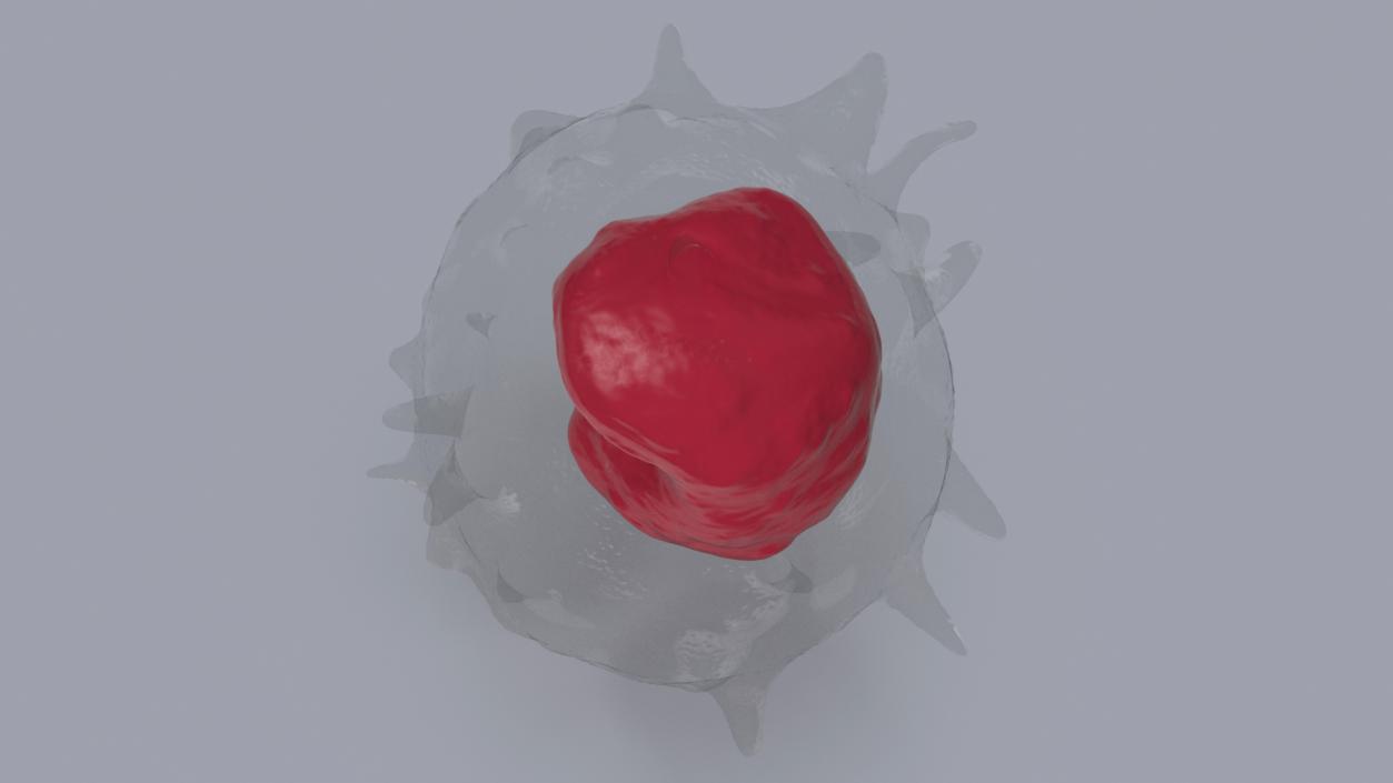 Monocyte Blood Cell 3D model