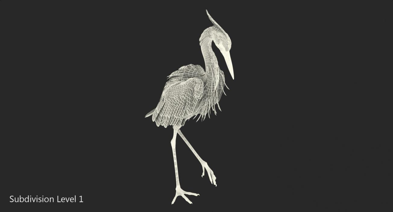 3D model Grey Heron Standing on One Leg